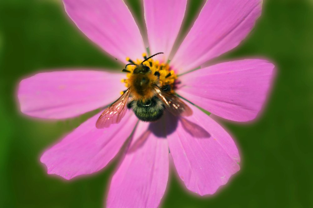 Photograph by Алина Куприянова