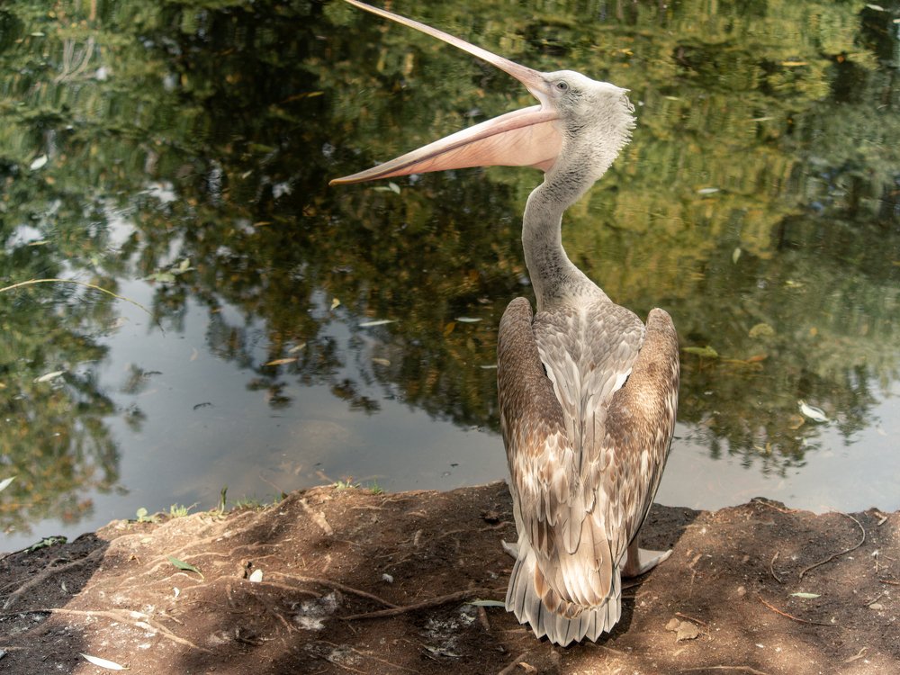 Photograph by Мария Паина