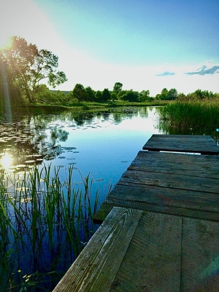 Фотография автора Елена