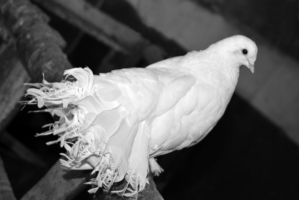 Photograph by Алина Куприянова