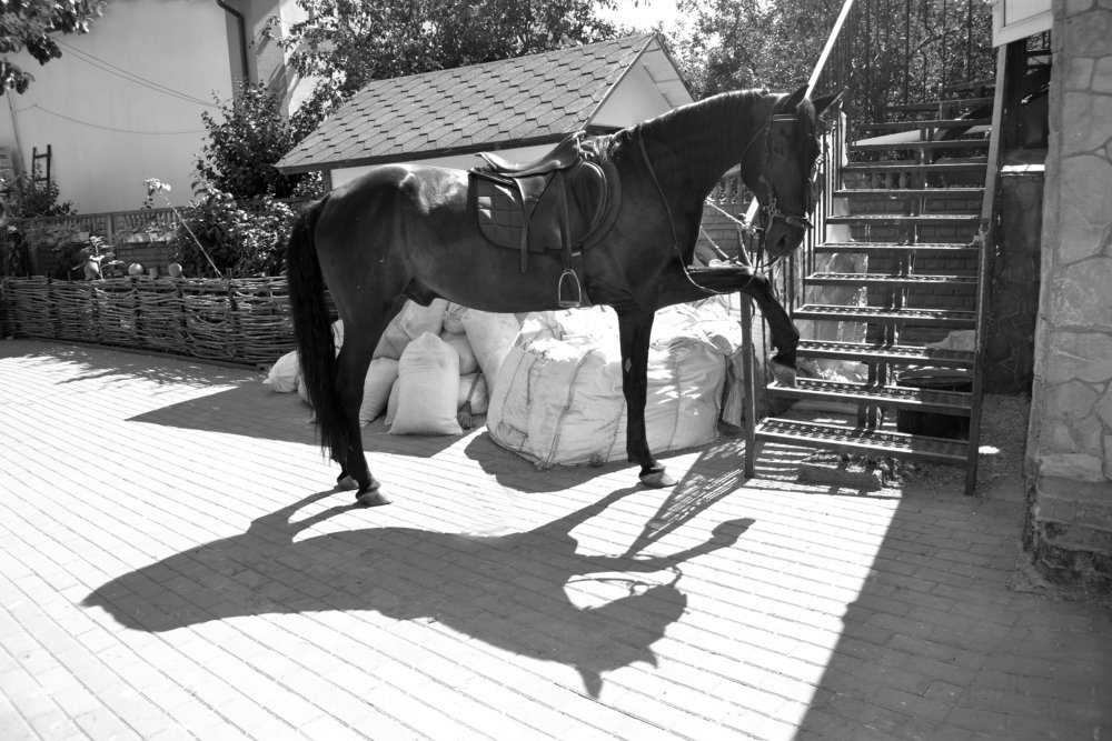 Photograph by Алина Куприянова