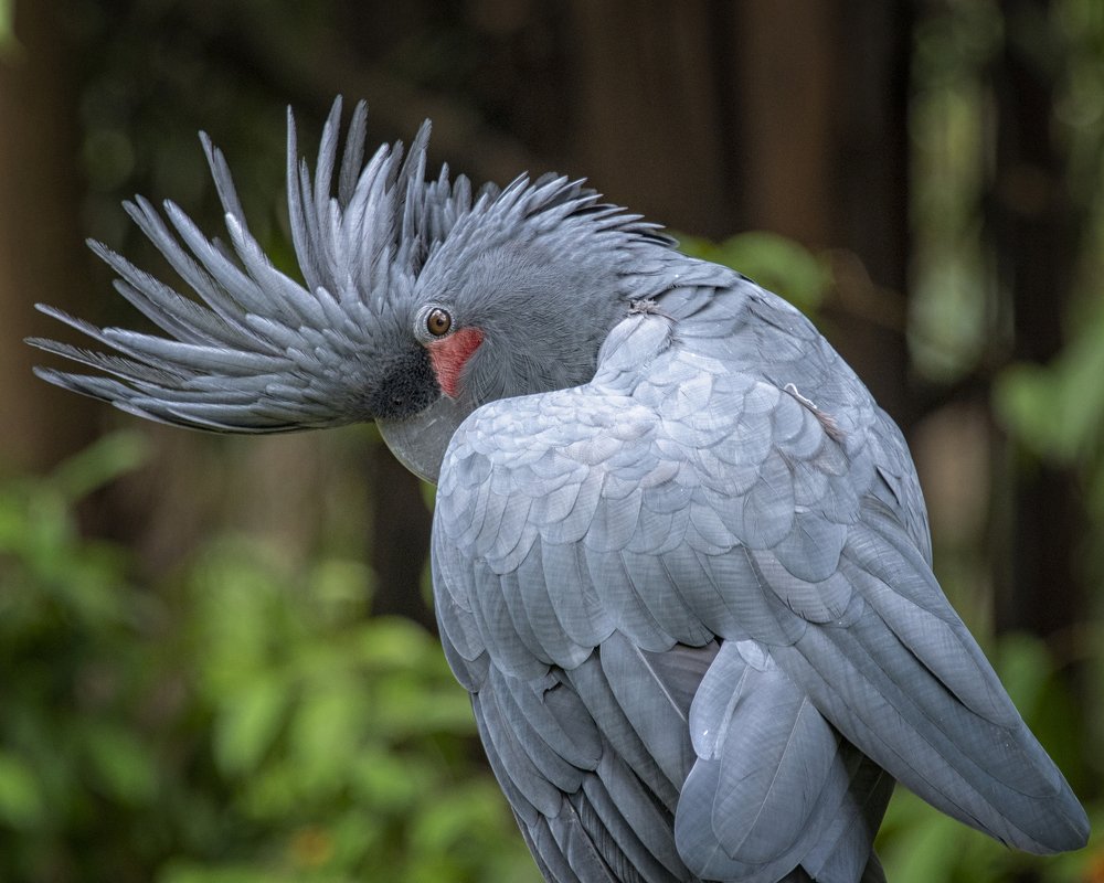 Фотография автора Susanty Tan