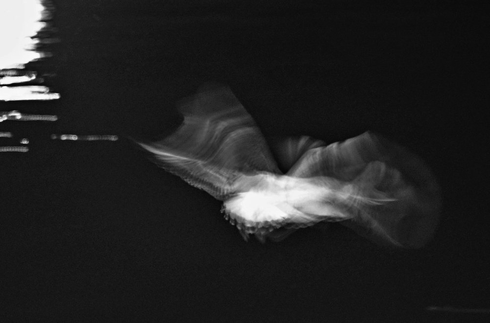 Photograph by Юрий Рефар