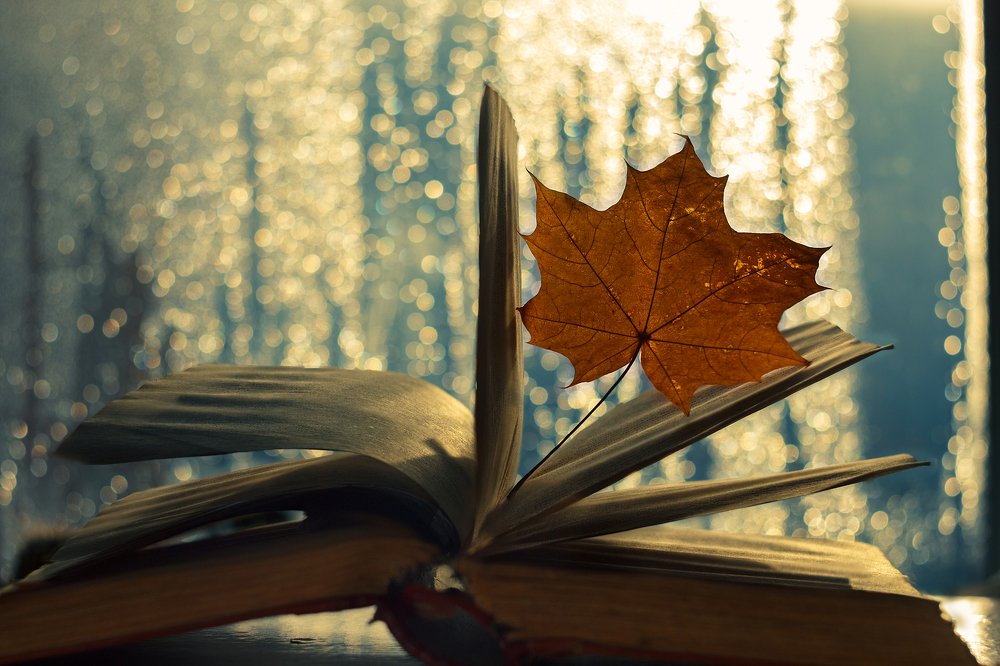 Photograph by Spasskova Tatiana