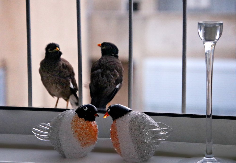 Photograph by Irina Radzinskaya