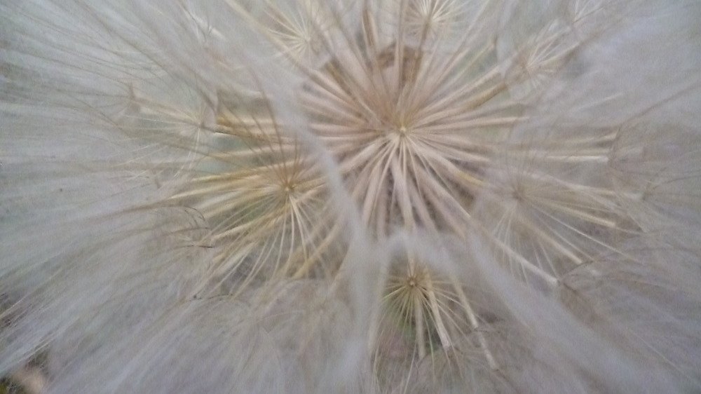Photo #4942210