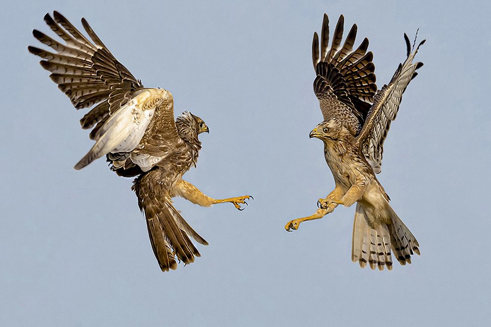 Photograph by Mrinal Sen