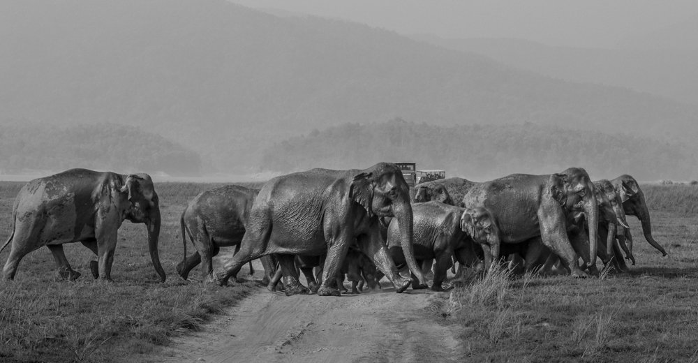 Photograph by Pramathesh Saha