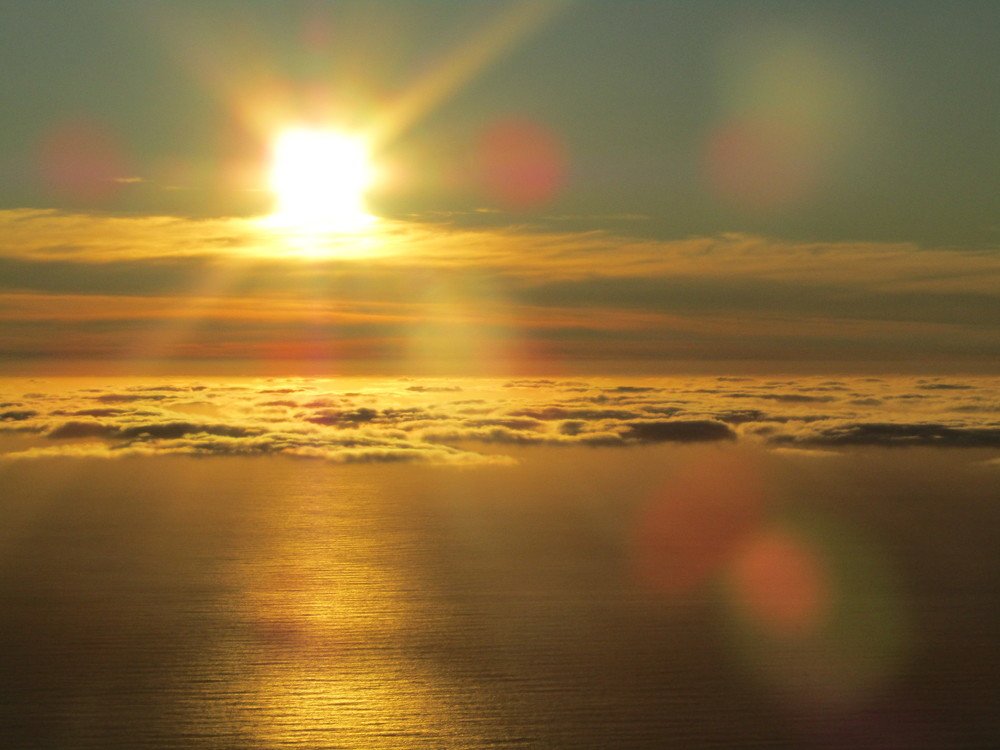 Photo #4942329