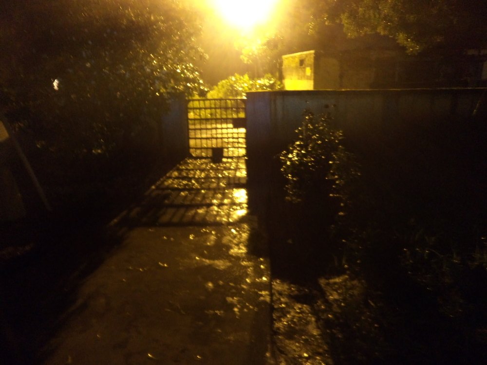 Фотография автора Santanu Dasgupta