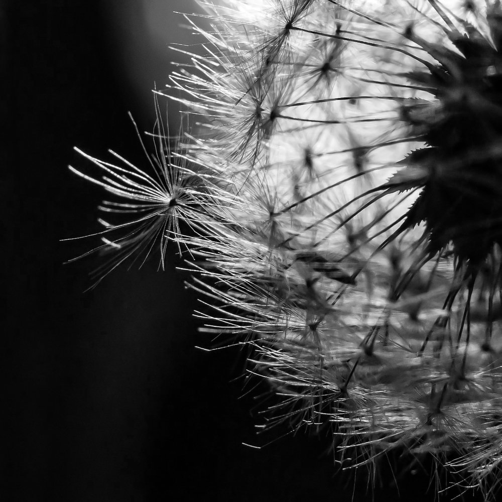 Photograph by Диана Кошелева