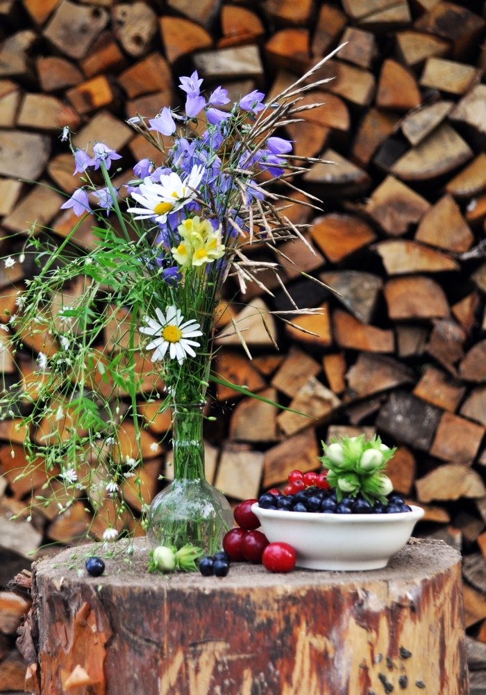 Фотография автора Елена Лицис