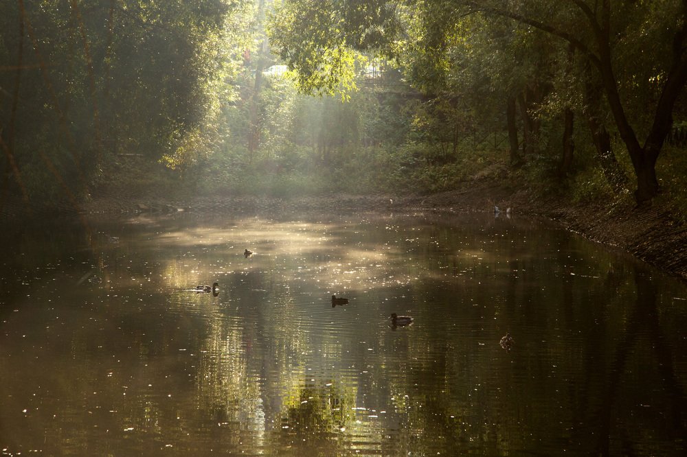 Photograph by Ольга