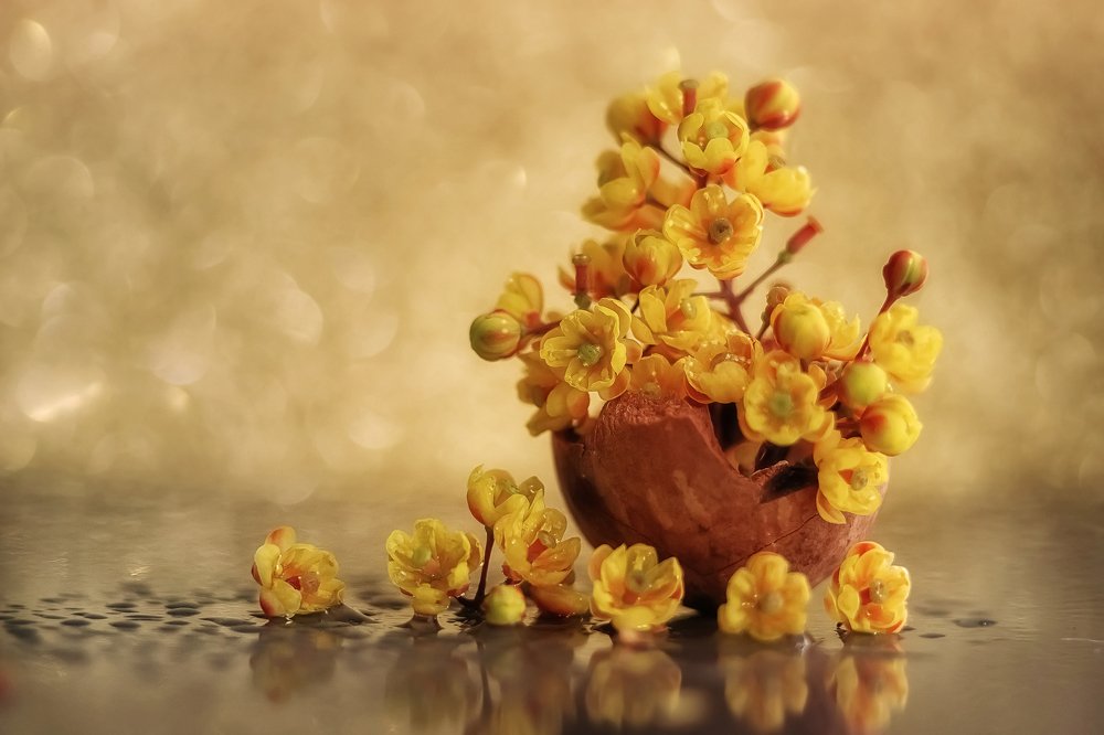 Цветы барбариса