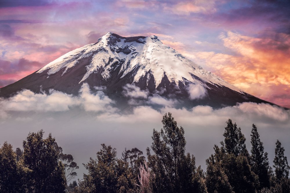 Photograph by Marco Vinicio Garzón Maya