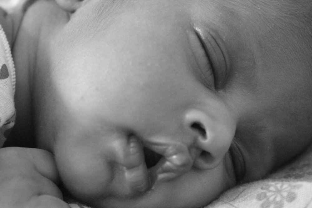 Photograph by sameera madushantha