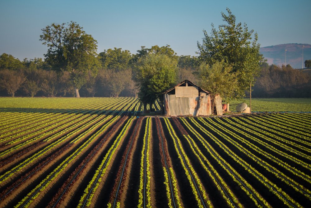 Photograph by Елизавета Калинина