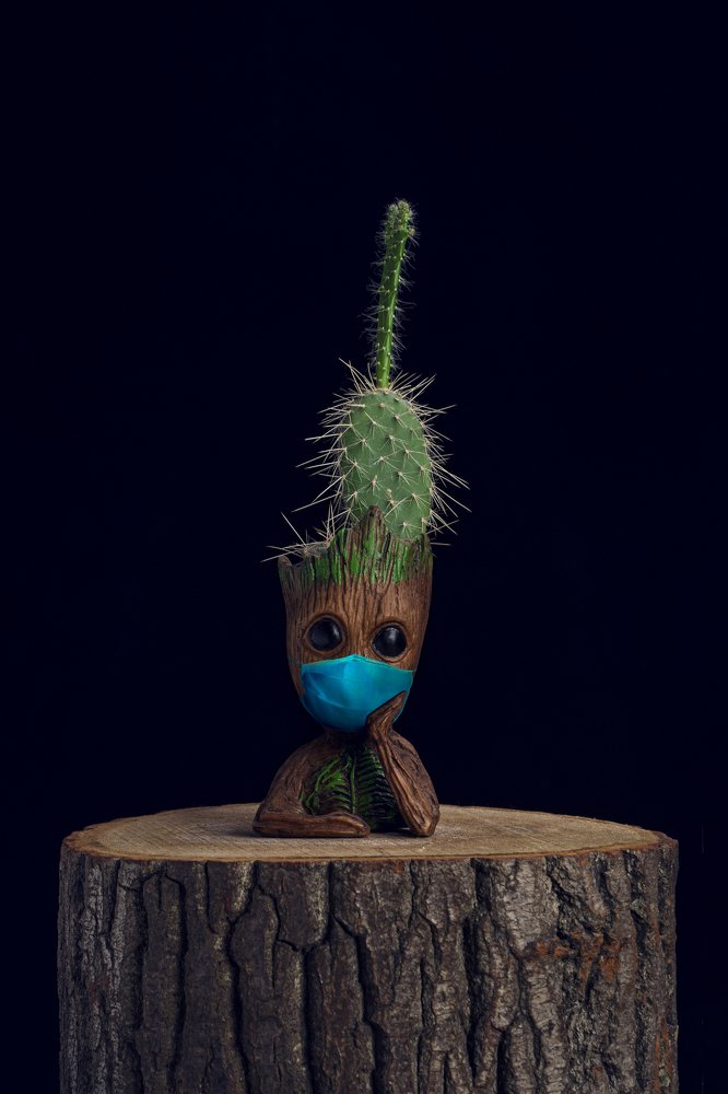 Фотография автора mehrdad Alizadeh