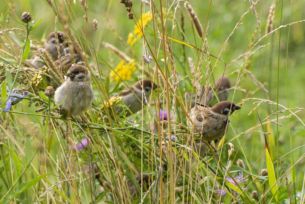 Photograph by Эдуард Шадров