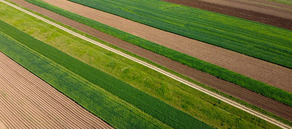 Photograph by Andrei Tomas