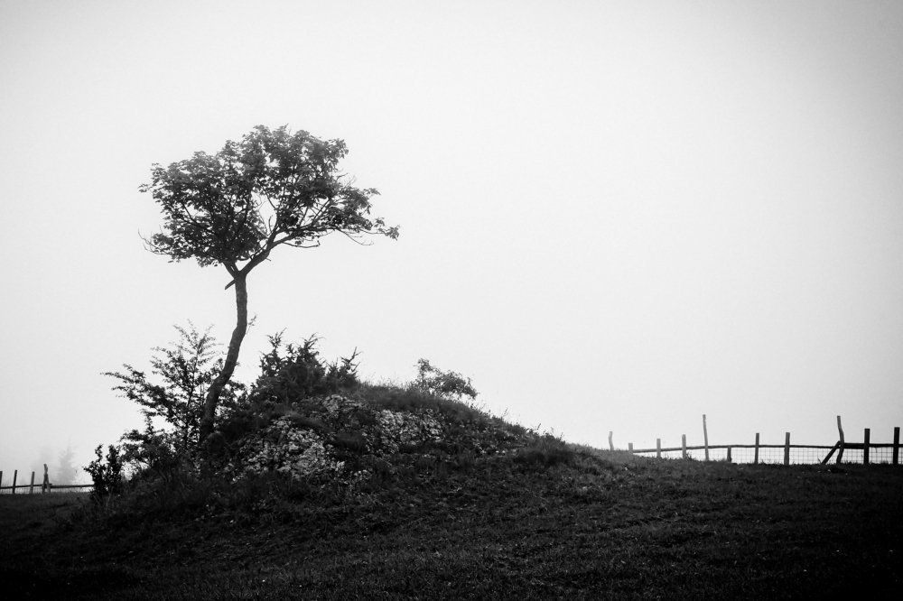 Photograph by Corduneanu Marius