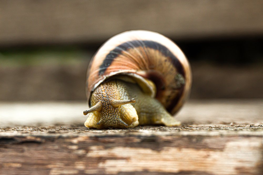 Photograph by Юрий Карпенко