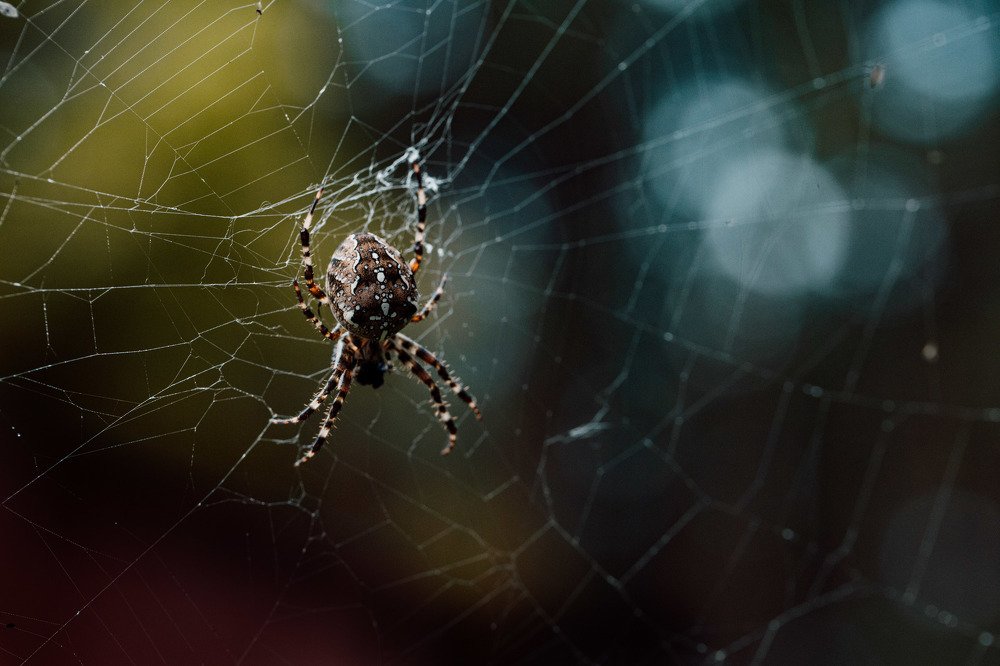 Photograph by Екатерина Аксёнова