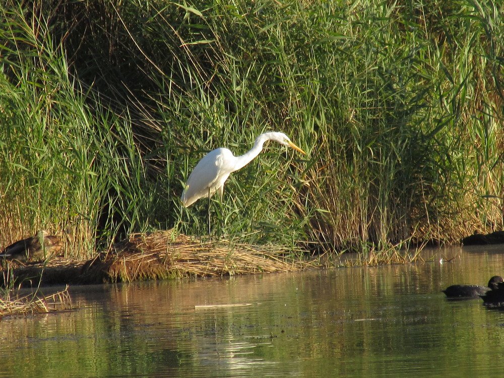 Photograph by Елена Кузнецова