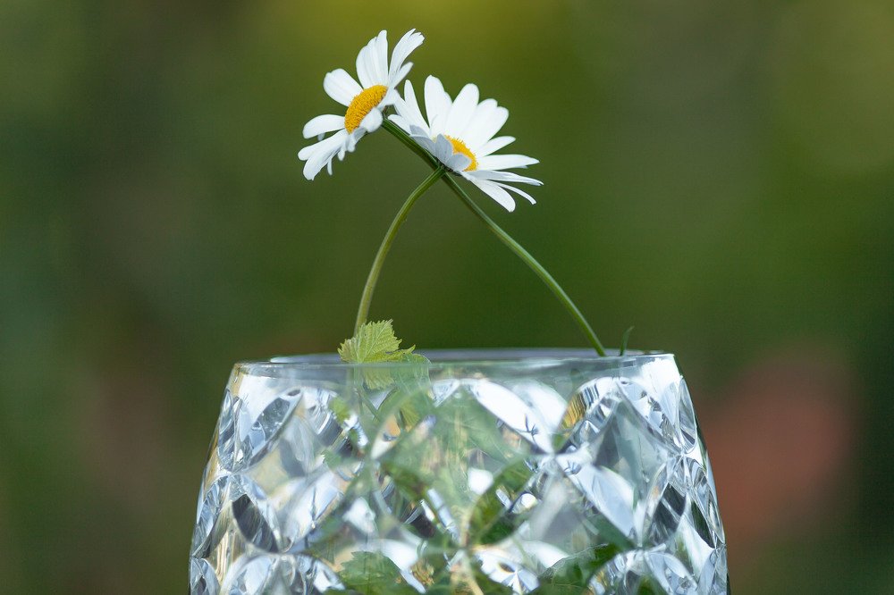 Photograph by Марина Комина