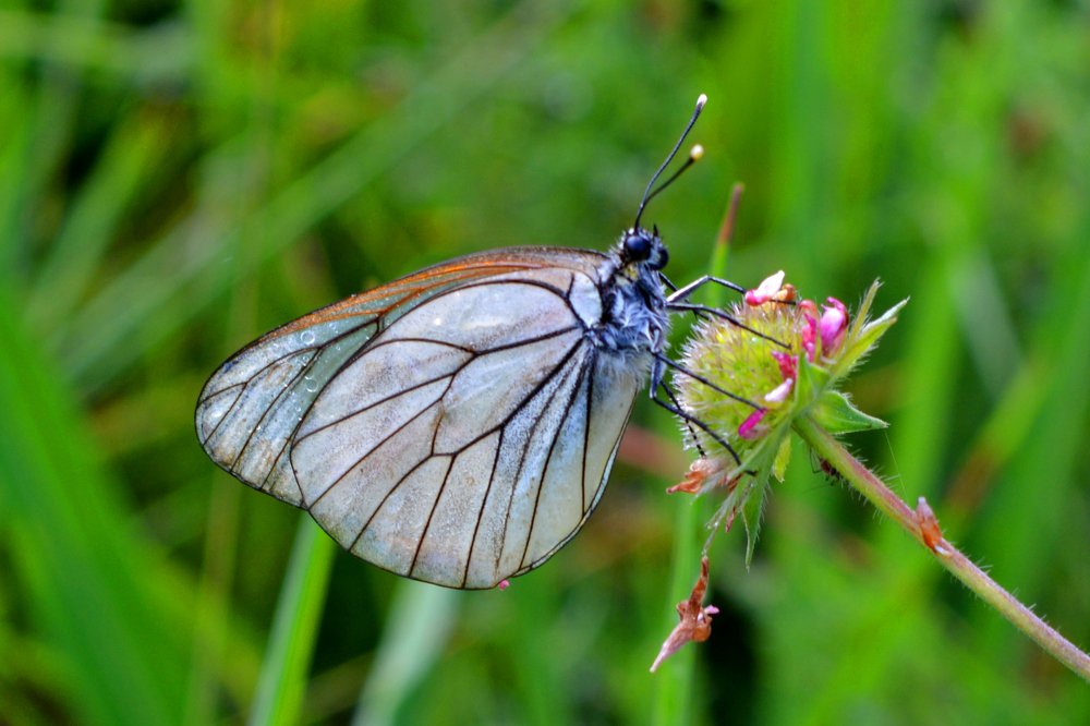 Photograph by Любомир Стойков