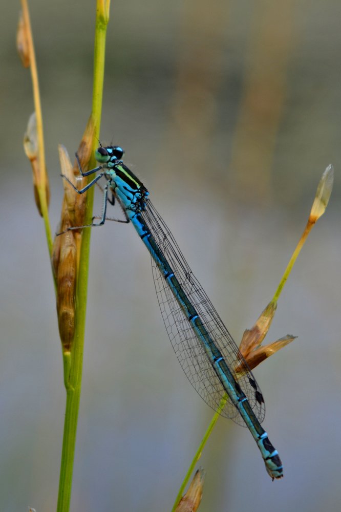 Photograph by Любомир Стойков