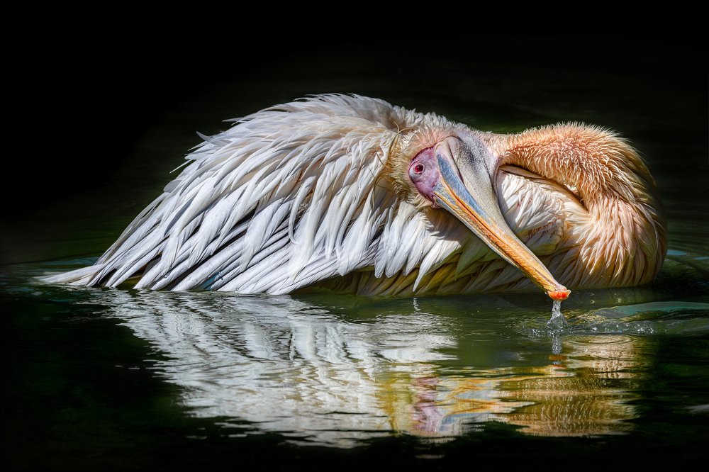 Photograph by Лея Лерер