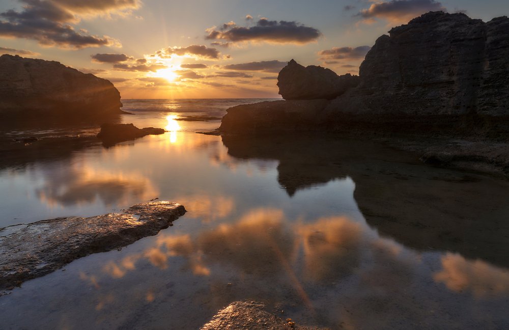Photograph by 