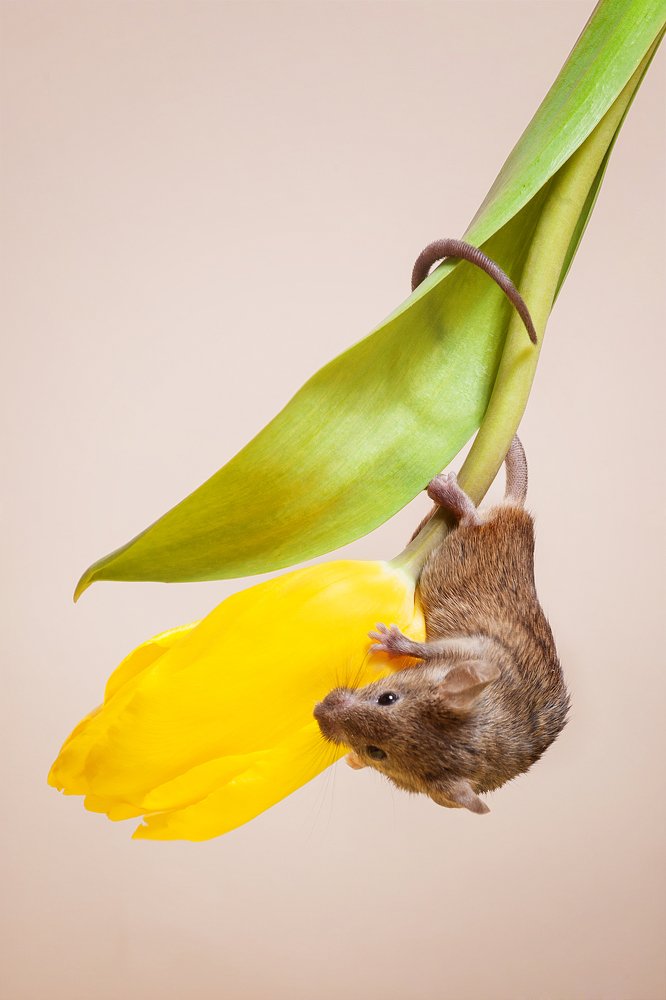 Photograph by Ирина Богатырева