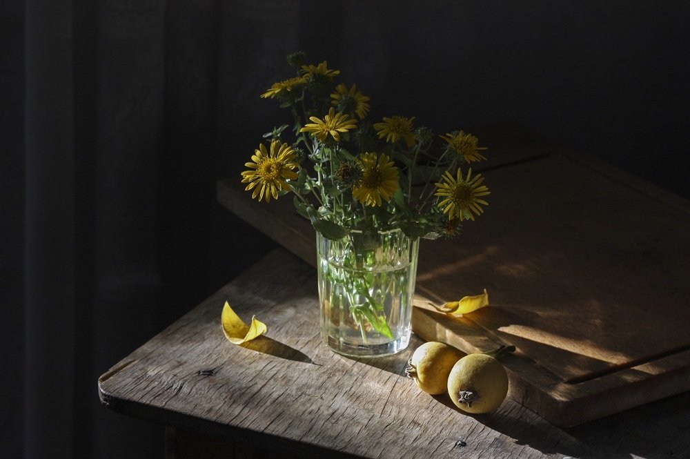 Photograph by Дмитрий Сырбу