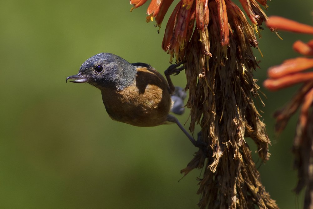 Фотография автора Tamara Maria Blazquez Haik