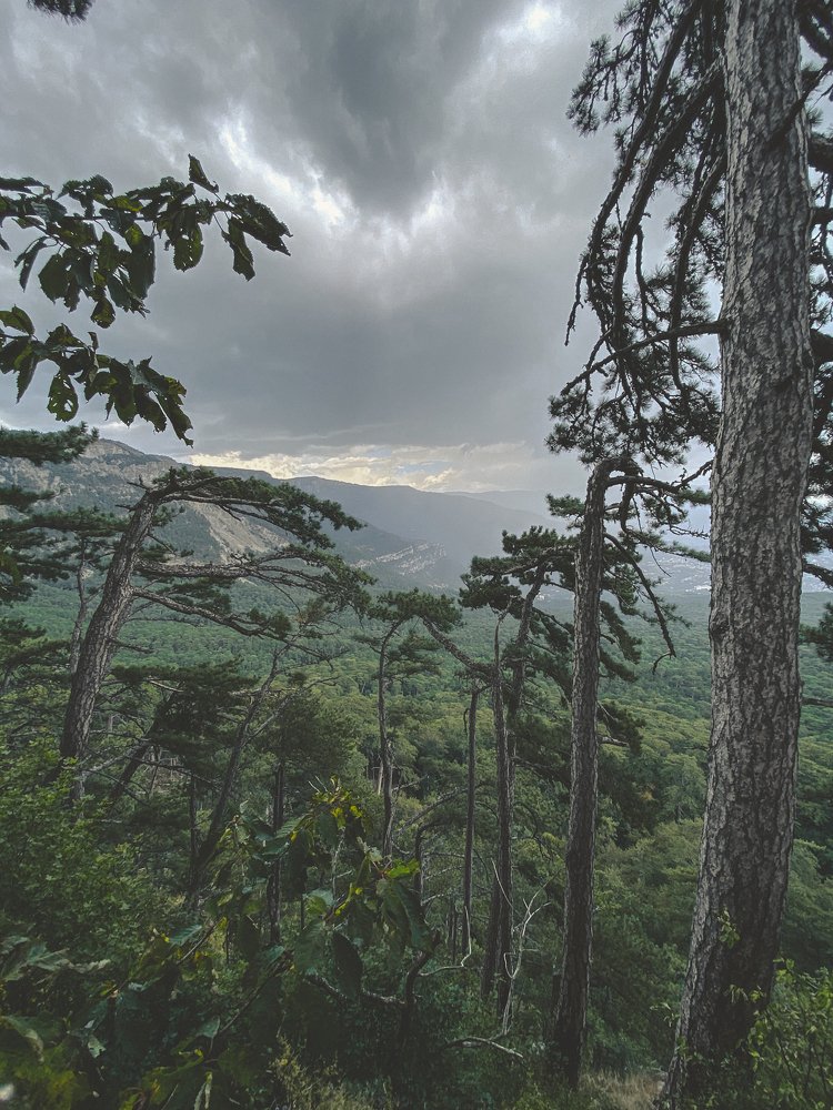 Photograph by Зарина Маснева