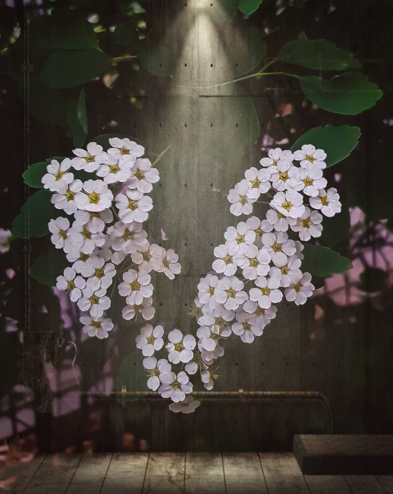 Photograph by Alexia Vlada