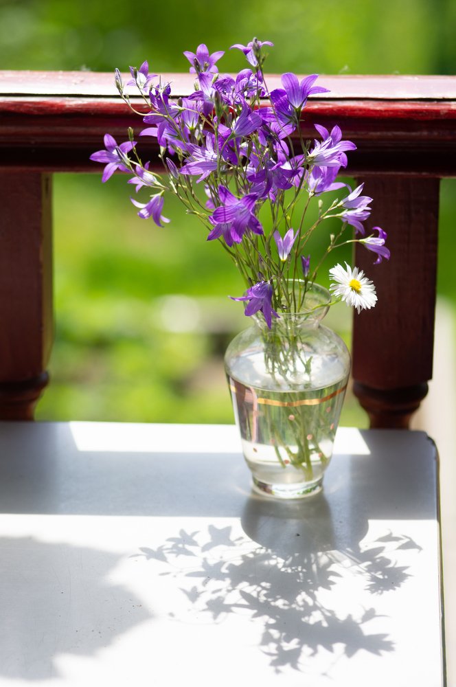 Photograph by Максим Захаров