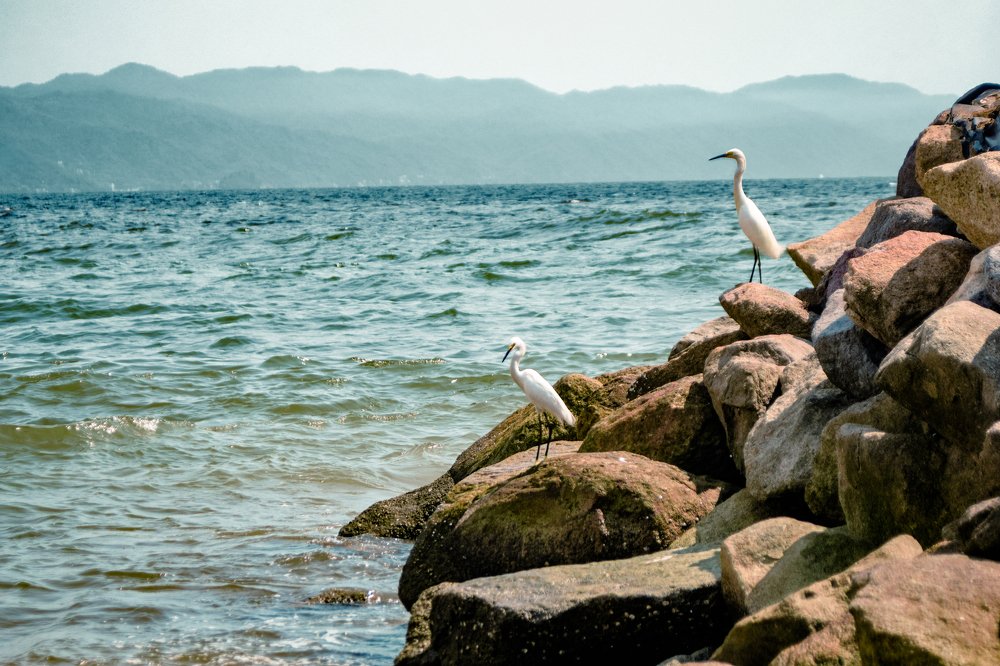 Photograph by Adrian Ramirez