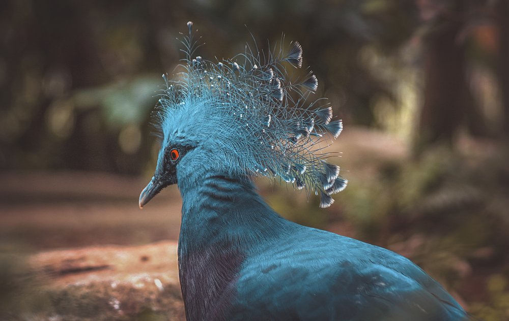 Фотография автора Anil Prabhakar