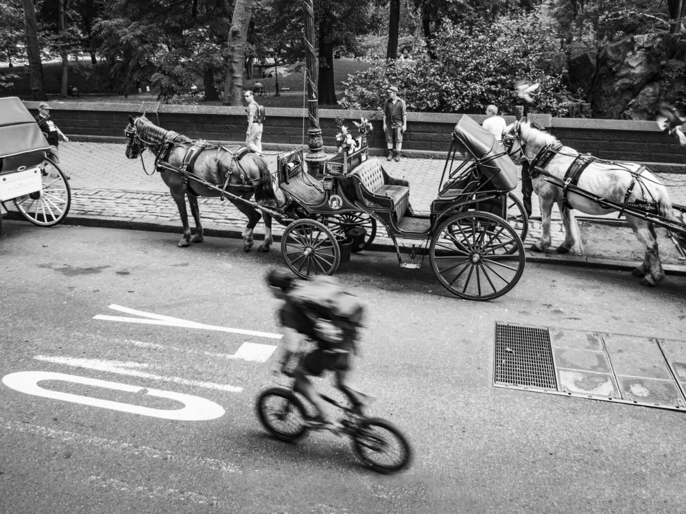 Photograph by Rosina Smit