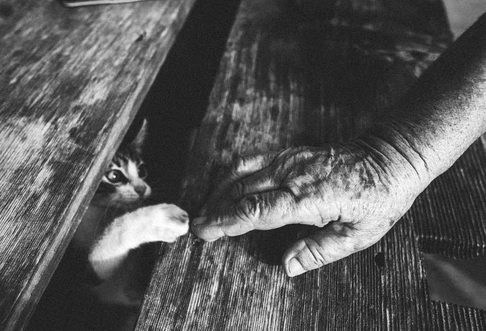 Photograph by Жанна Березовская