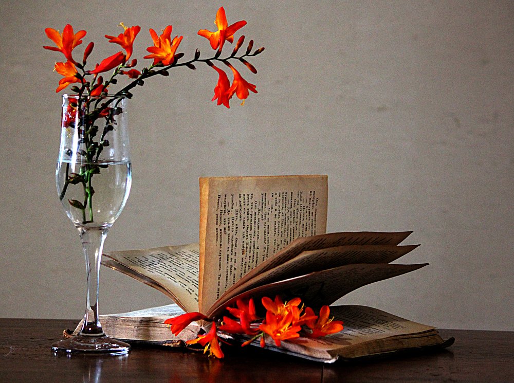 Photograph by Зоя Быкова