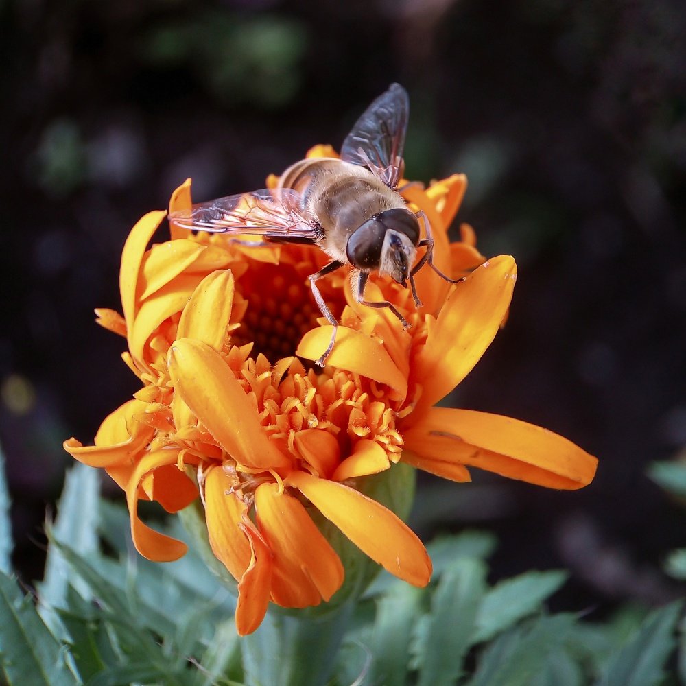 Photograph by Диана Кошелева