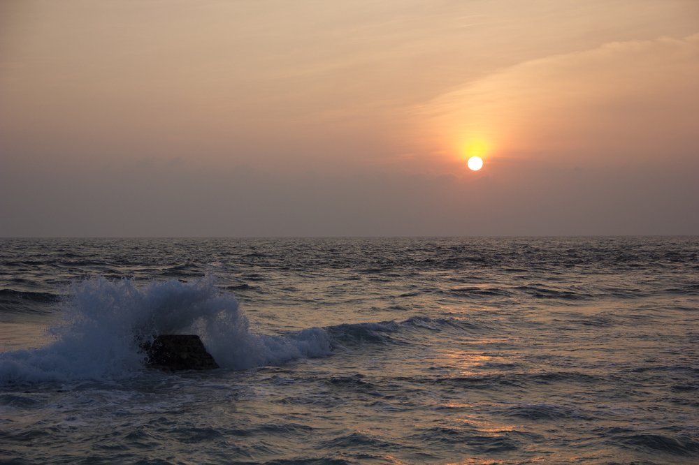 Photograph by Anna Gapanovich