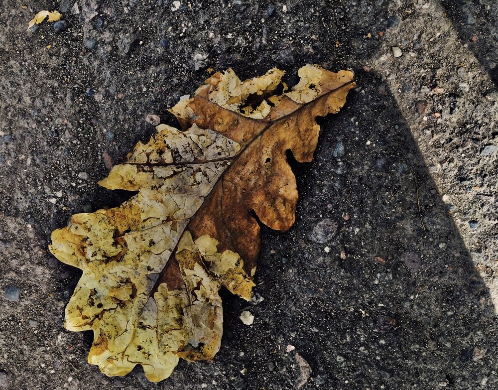 Photograph by Елена Ким