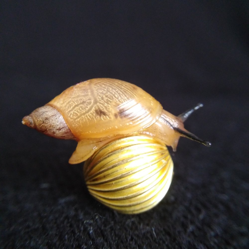 Photograph by Жанна Усатова