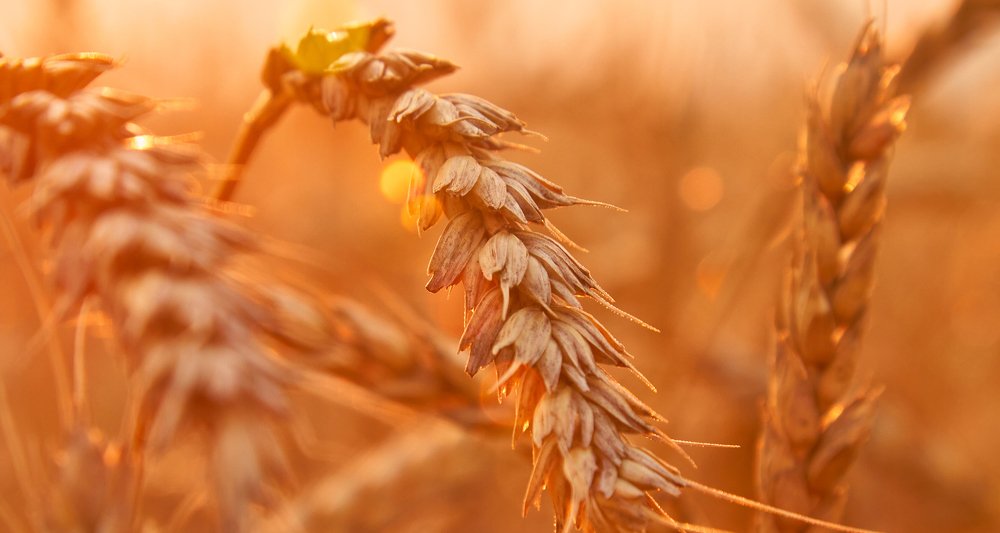 Фотография автора Сергей Фиданян