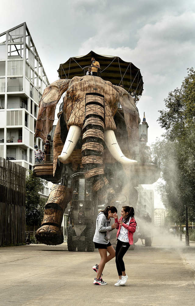 По улице слона водили...